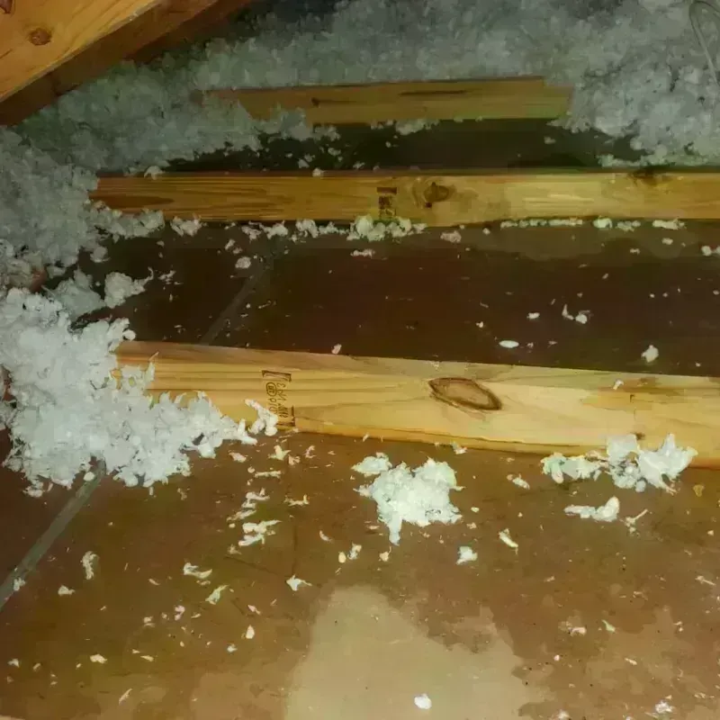 Attic Water Damage in Turtle Lake, WI