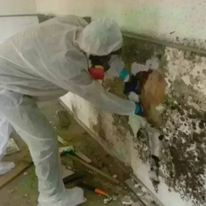 Mold Remediation and Removal in Turtle Lake, WI