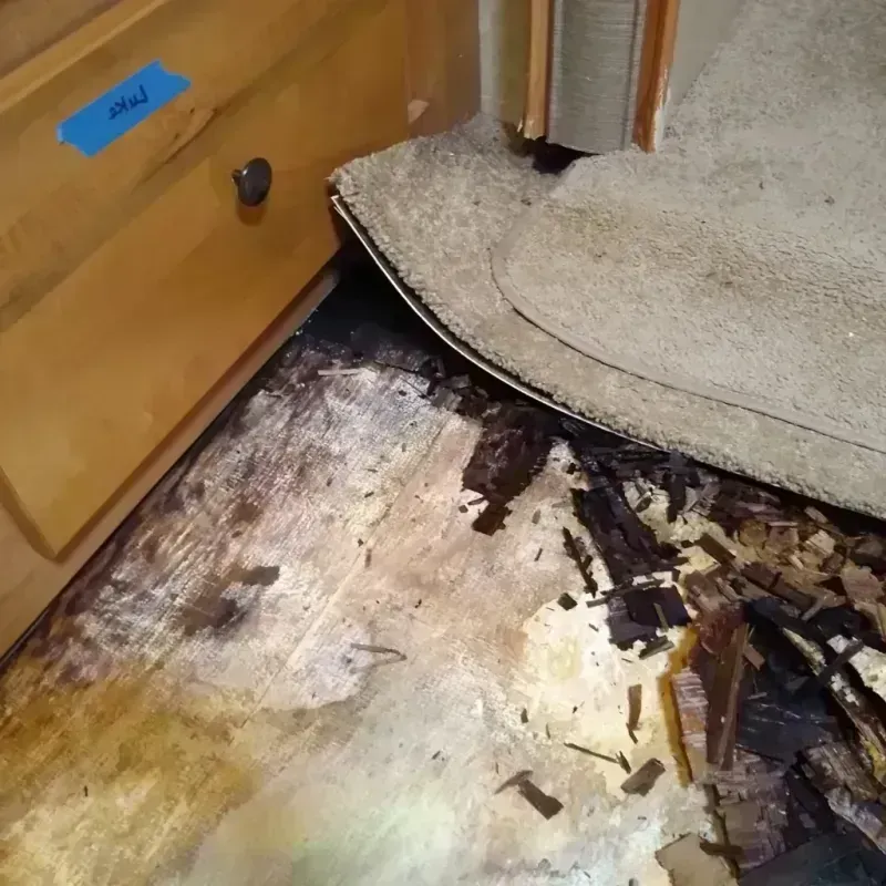 Wood Floor Water Damage in Turtle Lake, WI